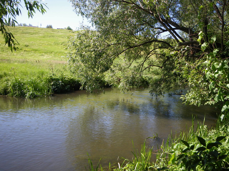Куликово поле, Монастырщина, Богородицк, усадьба Бобринских