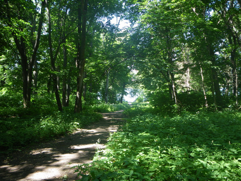 Куликово поле, Монастырщина, Богородицк, усадьба Бобринских