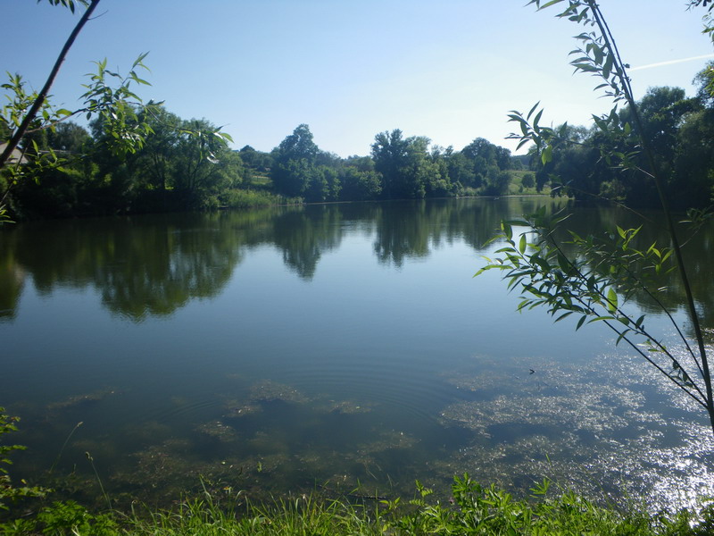 Куликово поле, Монастырщина, Богородицк, усадьба Бобринских