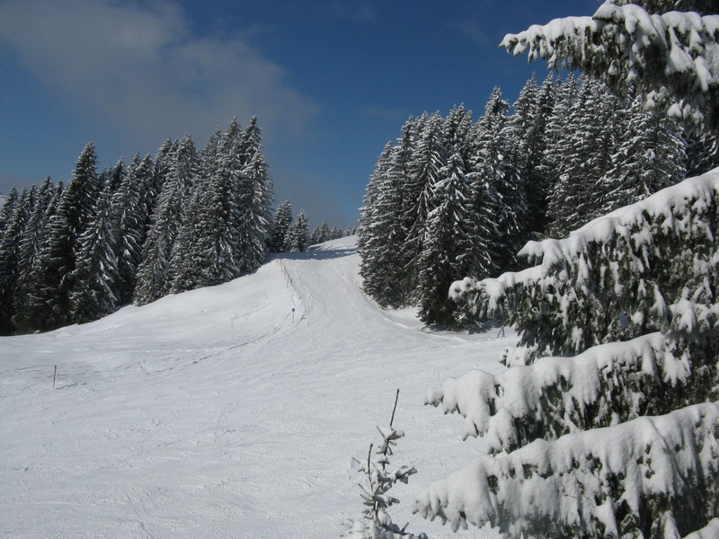 Зелль, горные лыжи