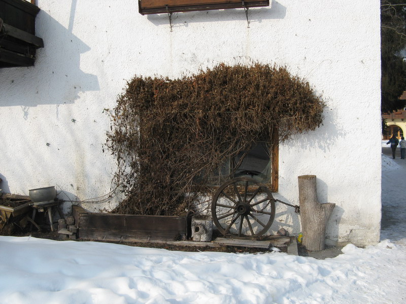 Зелль, горные лыжи