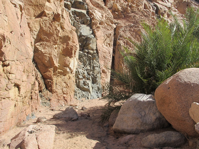 Абу-Галум, Голубая дыра, рифы в Дахабе 