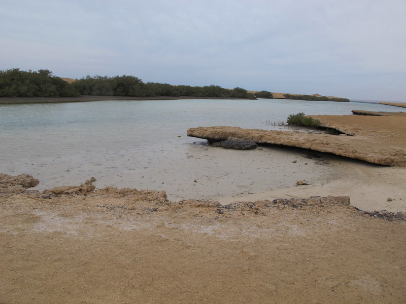 Экскурсия в Рас-Мохаммед из Шарм-эль-Шейх 
