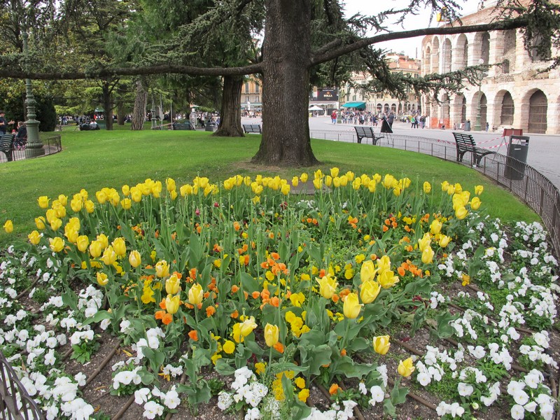 Верона достопримечательности фото